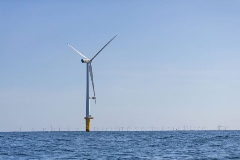 Energías renovables: un bastión anticrisis