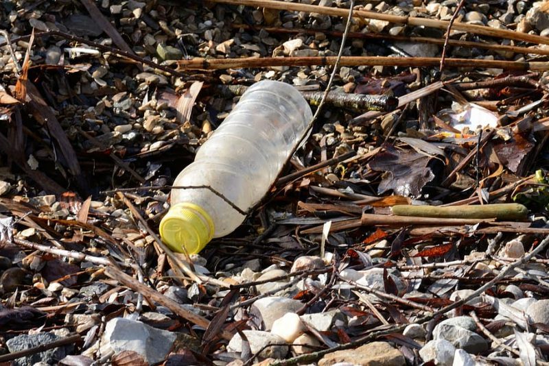 Activistas de Ecologistas en Acción: 10 años limpiando playas