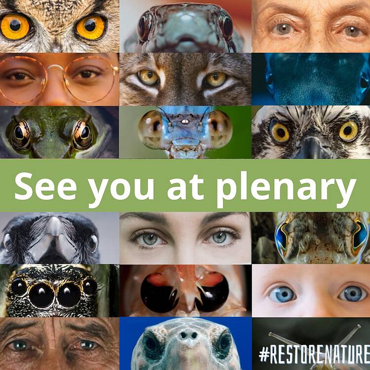 El Parlamento Europeo en la mira de la Naturaleza