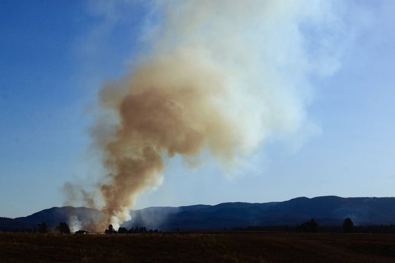 ¿Por qué en verano hay más incendios forestales?