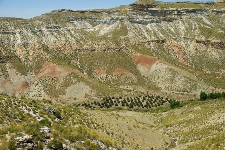 Día Mundial contra la Desertificación y la Sequía 2023 - Adelanto