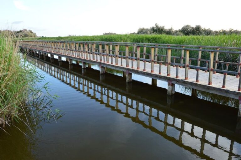 Urge salvar las Tablas de Daimiel
