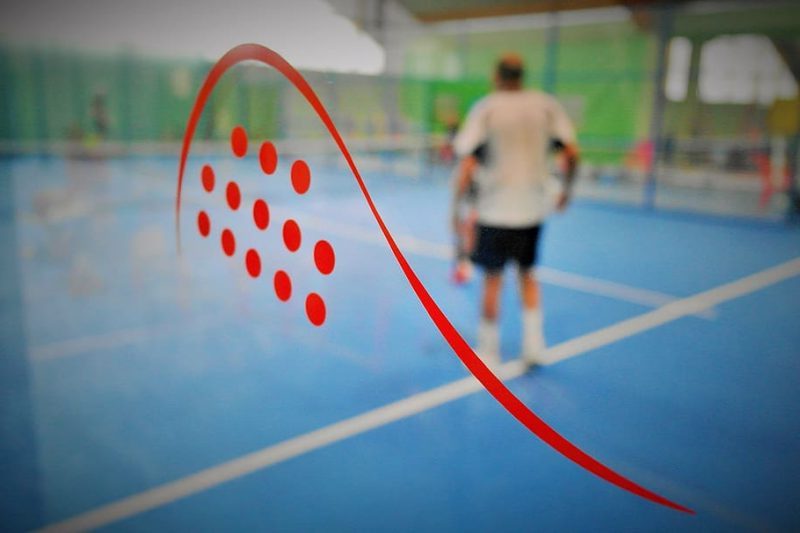 Cómo reducir la mortalidad de aves en las pistas de pádel