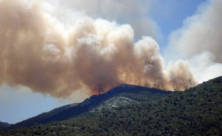 El humo de los incendios forestales es nefasto para todo