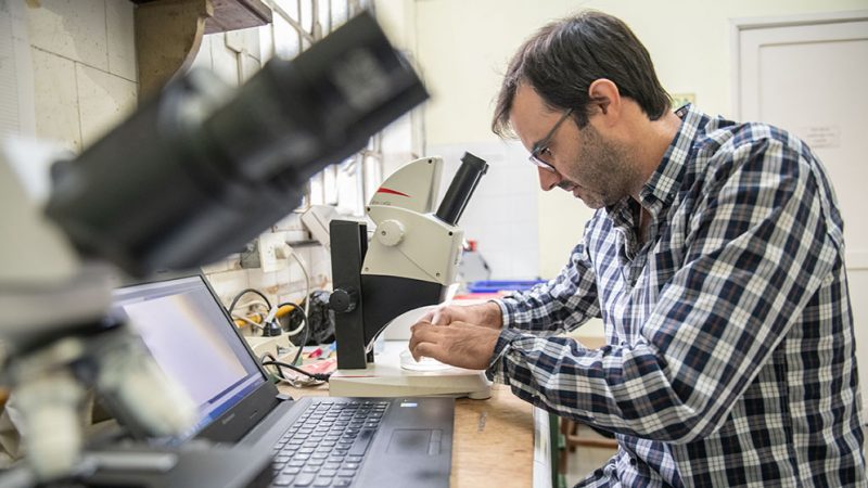 Origen y migración de peces invasores en la Patagonia