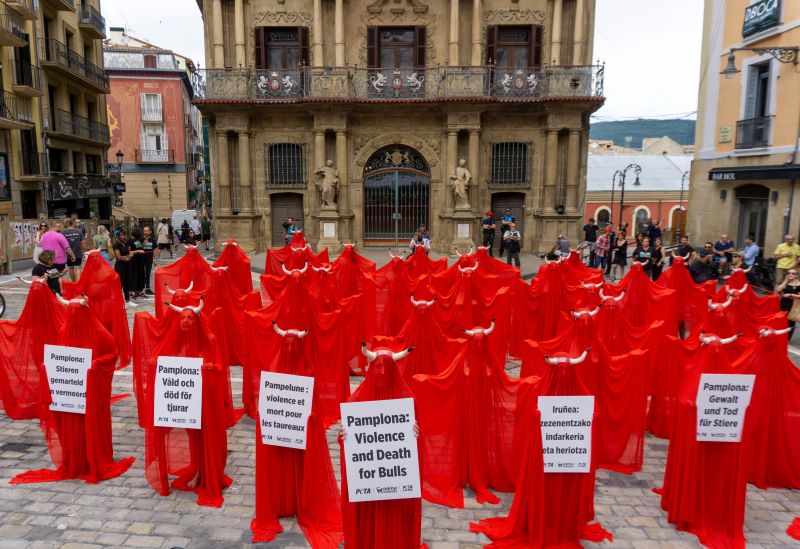 El 'mar de sangre' de PETA en Pamplona