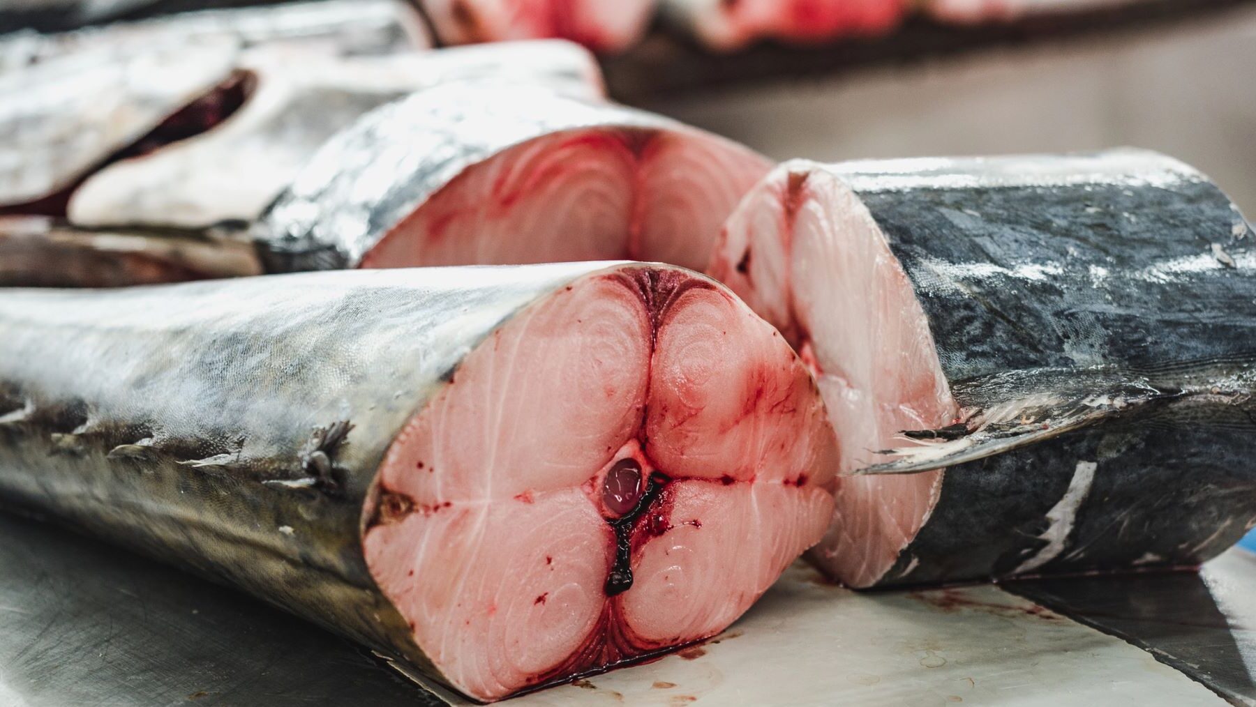 mercurio en el pescado