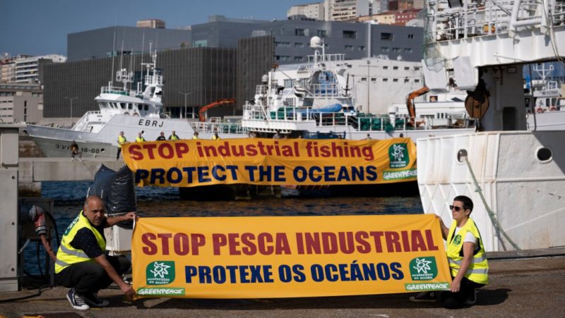 Ecologistas demandan en Vigo una gestión sostenible de la pesca