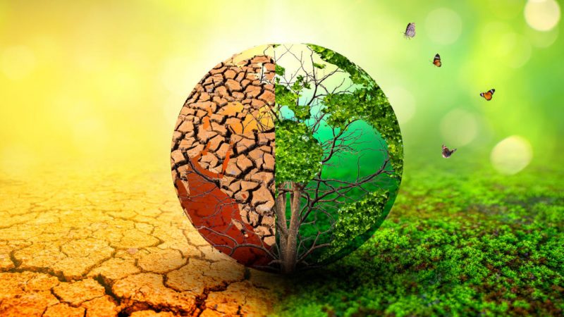 Ecologistas y el Reglamento de Restauración de la Naturaleza