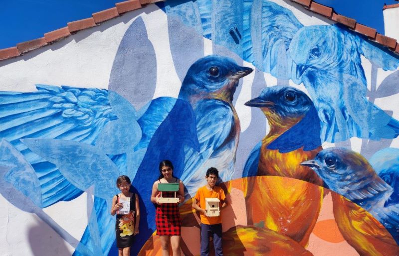 Éxito rotundo de las ‘Aulas LIBERA’