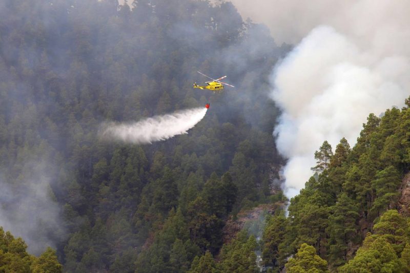 La Palma: El fuego sigue avanzado en el Parque Nacional