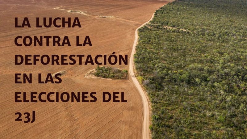 Partidos políticos se comprometen contra la deforestación