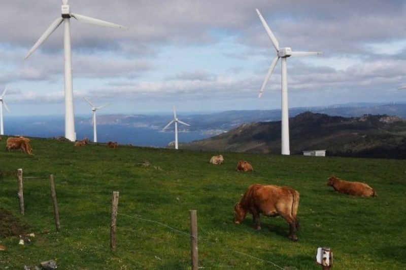 Polémica a cuenta de las nuevas instalaciones eólicas en Galicia