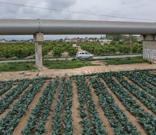 Polémica por el nuevo Plan de Sequías de la cuenca de Segura