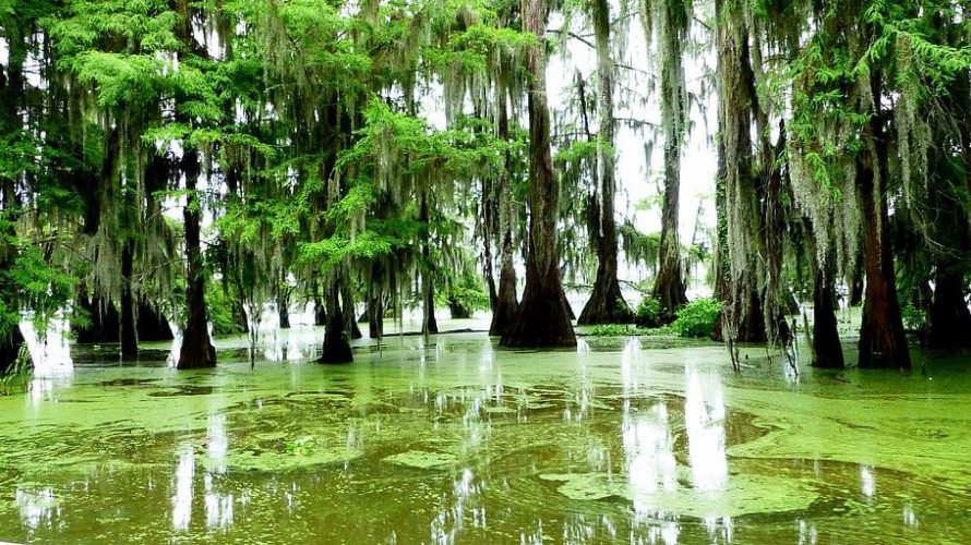 Gestionar el agua para salvar los humedales del cambio climático