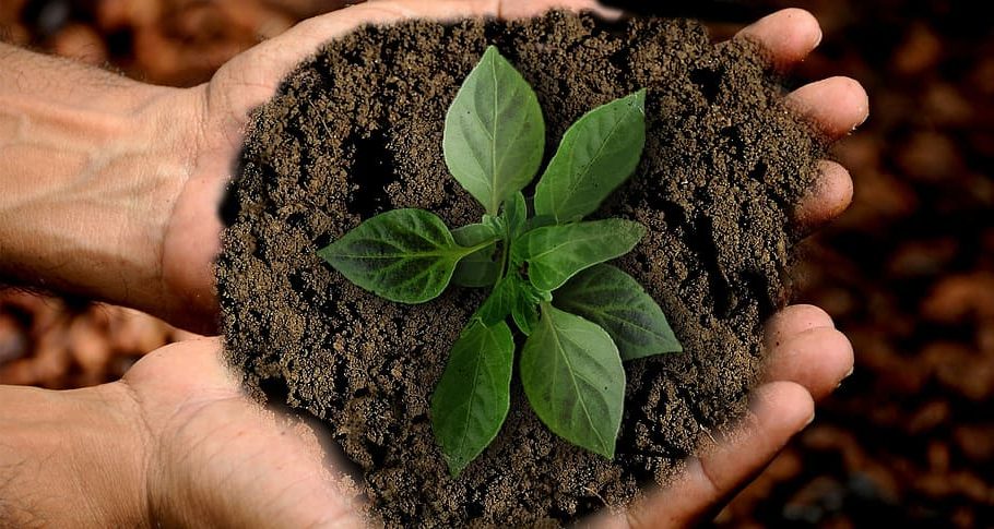 Hoy se vota la ley de la Restauración de la Naturaleza