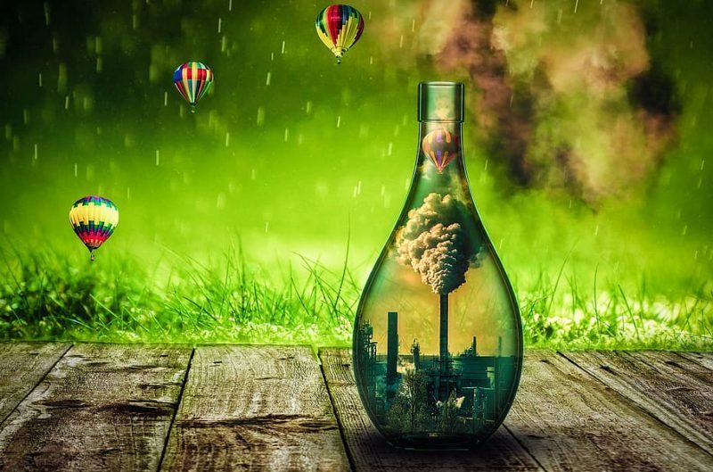 Eurobarómetro: la transición ecológica se debe acelerar.