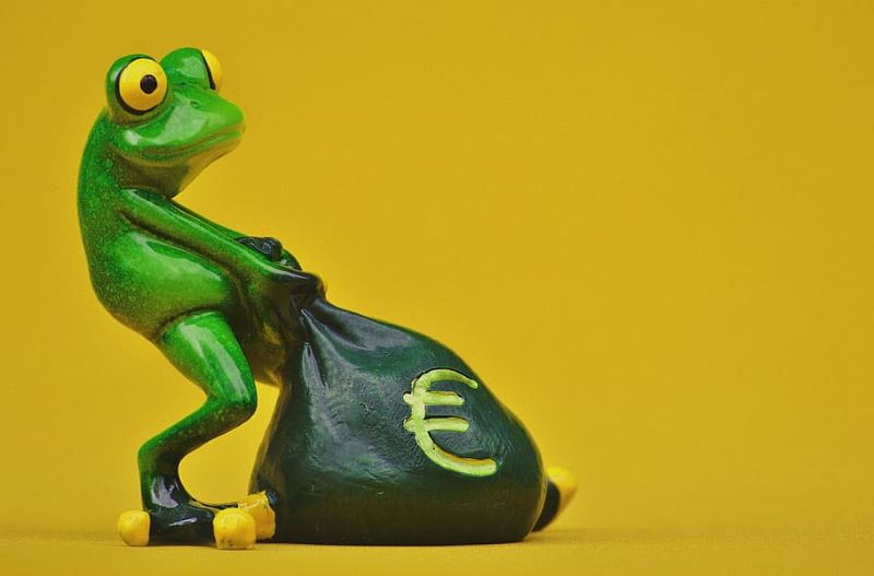 ClientEarth y el Colectivo Nourrir han presentado un caso ante el Tribunal de Justicia de la Unión Europea. Afirman que la Comisión Europea aprobó ilegalmente el plan agrícola nacional de Francia en el marco de la Política Agrícola Común (PAC).