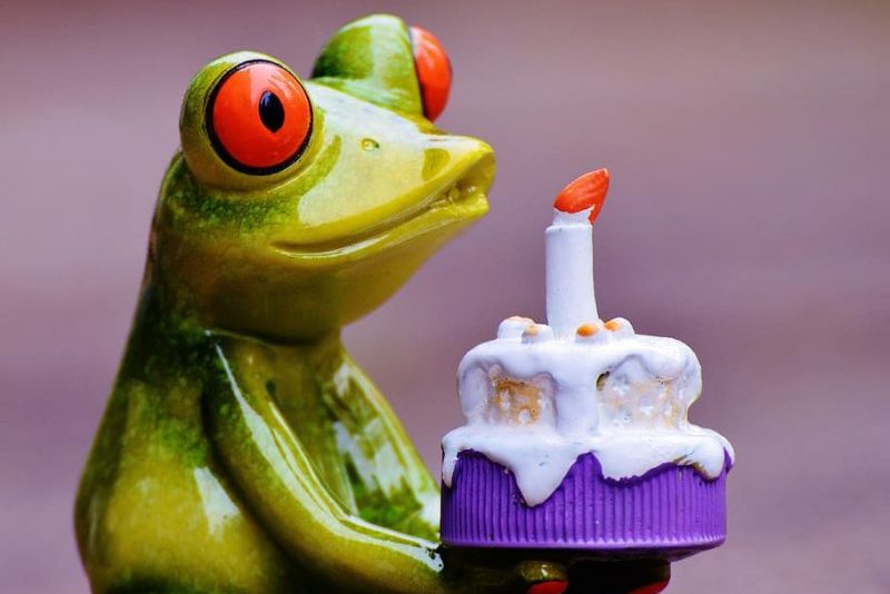 El derecho a un Medio Ambiente saludable cumple hoy un año