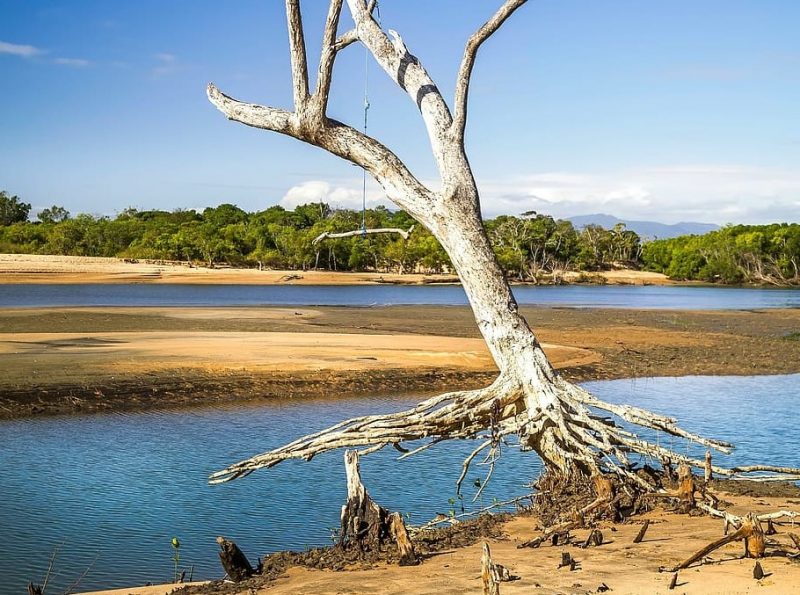 Día Internacional del Ecosistema Manglar 2023