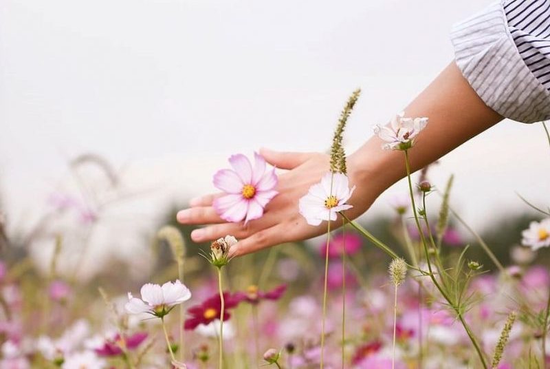 Coalición por el Derecho a un Medio Ambiente Sano premiada