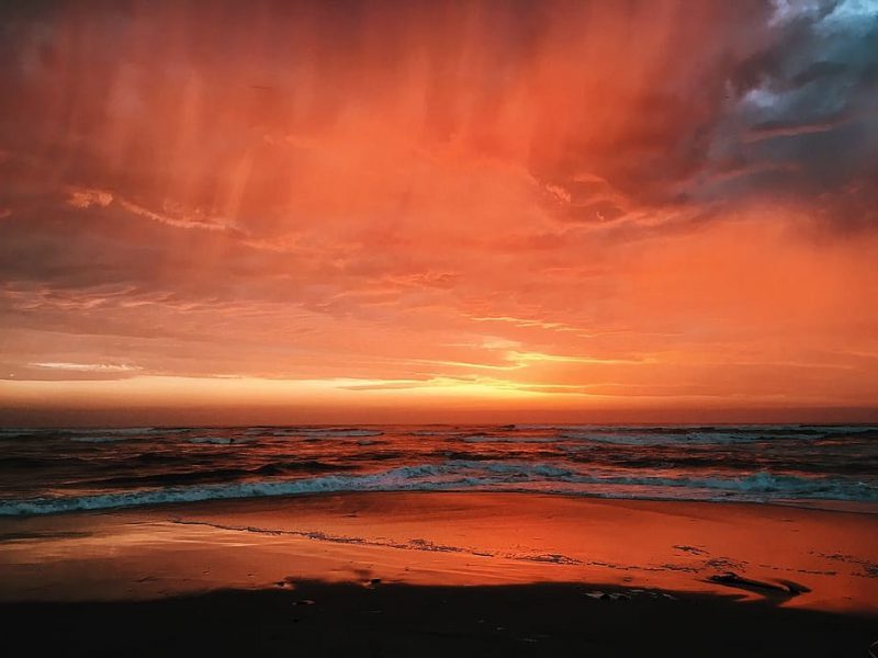 Ecosistemas del Pacífico en jaque por olas de calor marinas