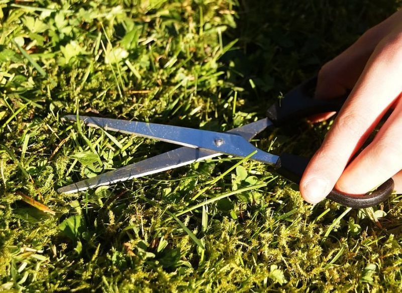 ¿Qué se sacrificó para aprobar la Ley de la Naturaleza?