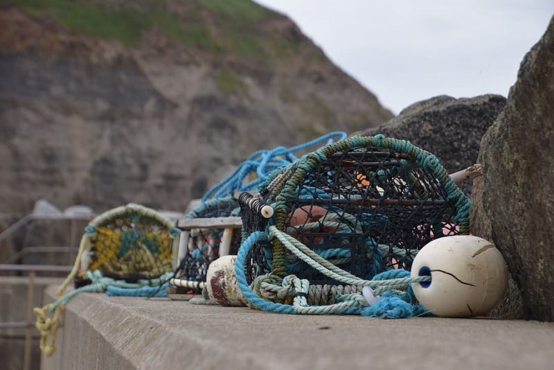 DDHH detrás de los productos de mar importados por la UE