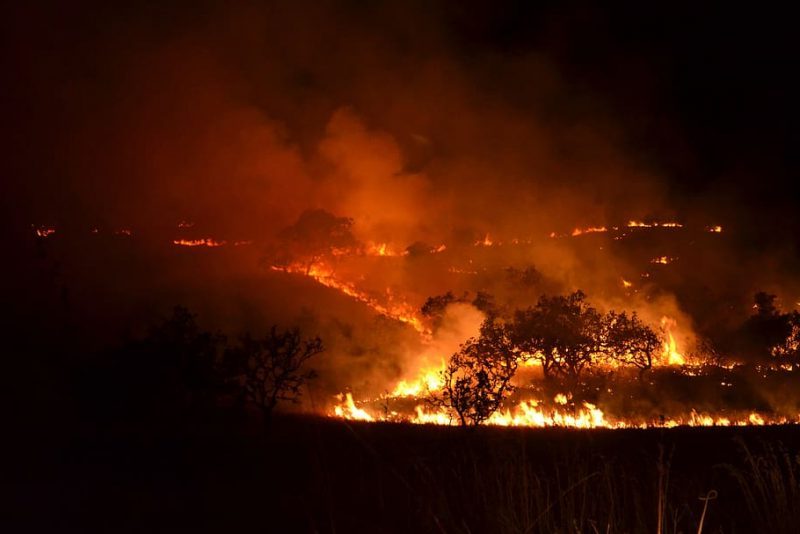 Arde el Mediterráneo: Argelia, Túnez, Francia, Italia, Grecia, Turquía