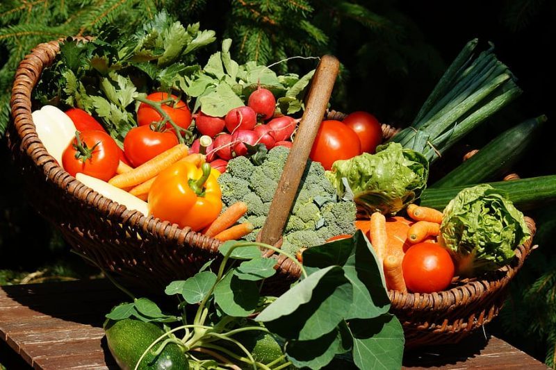 La presidencia española debe apostar por el Pacto Verde Europeo