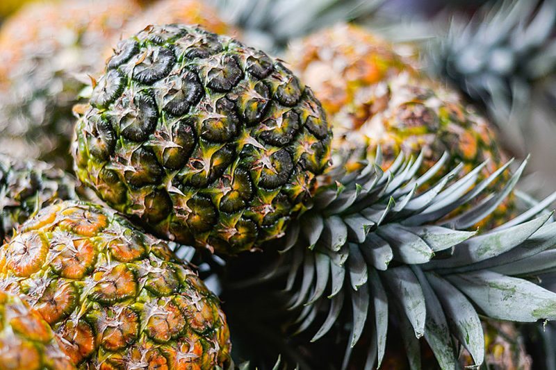 Se obtienen nuevos productos con los residuos de la piña