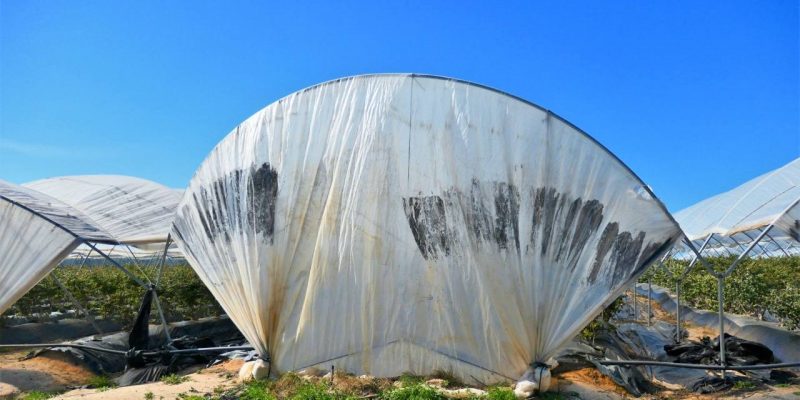 Alerta en el acuífero Aroche-Jabugo