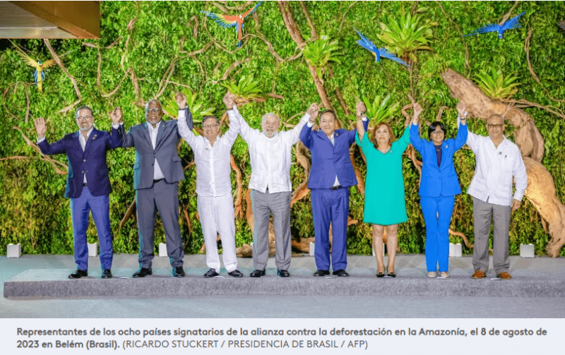 En la Cumbre de Brasil se juega el futuro de la Amazonía