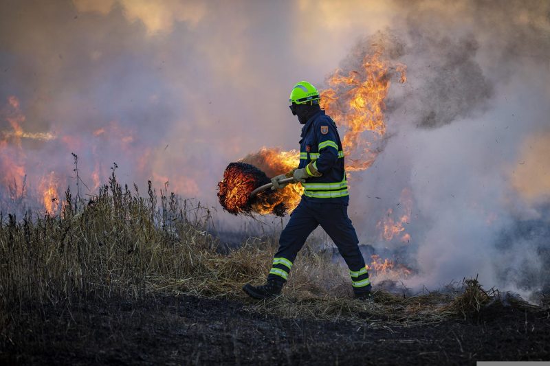 Claves para asegurar la prevención de grandes incendios forestales