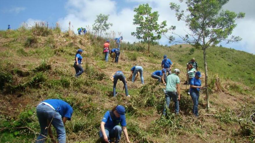 Córdoba: Pacto por la reforestación