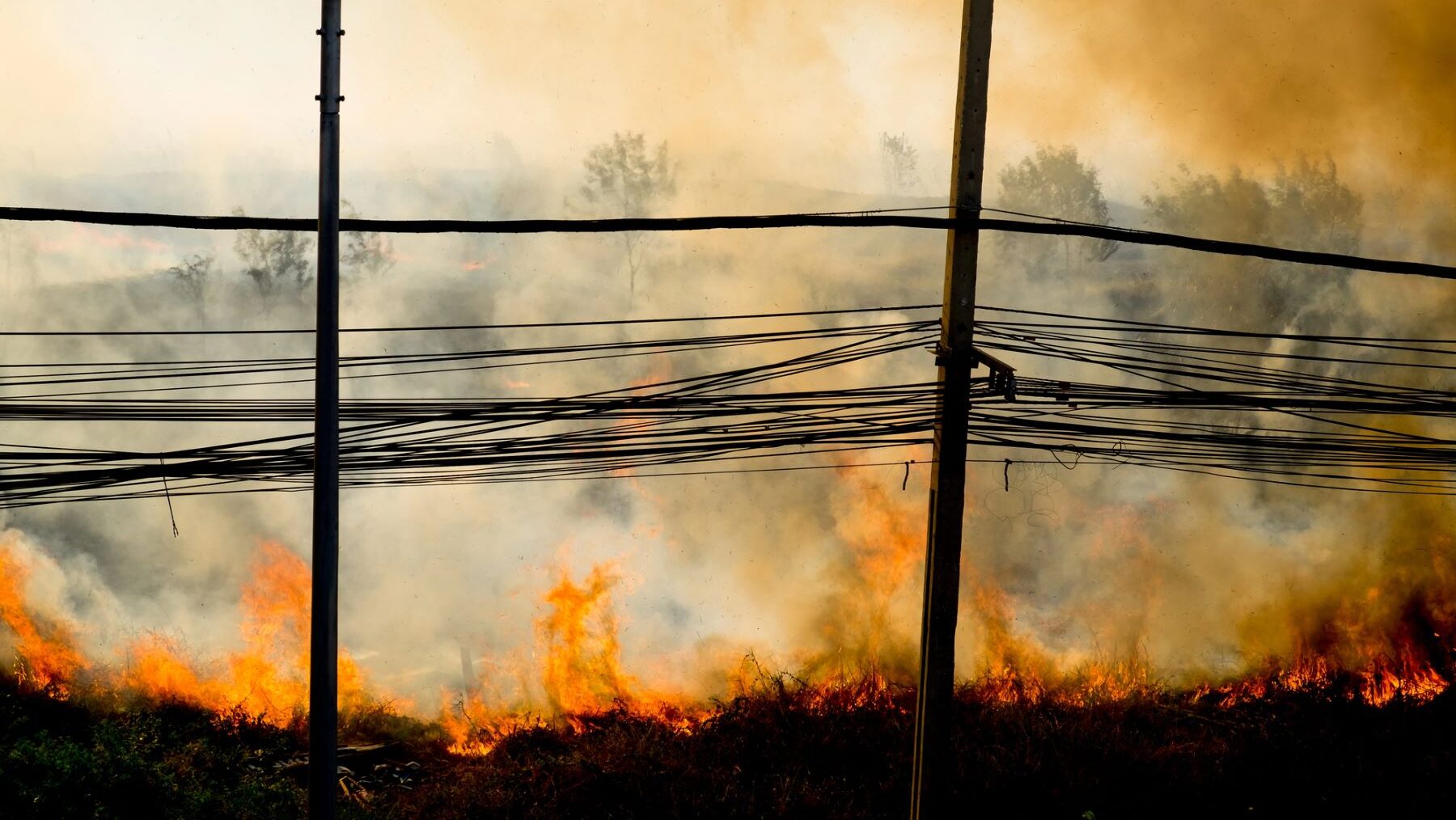 incendios forestales