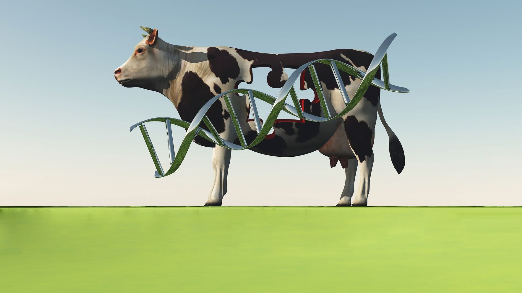 animales transgénicos nefastos