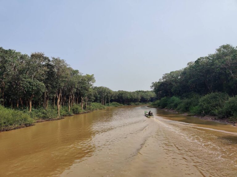 Ecosistemas de agua dulce: 50% de las emisiones de metano