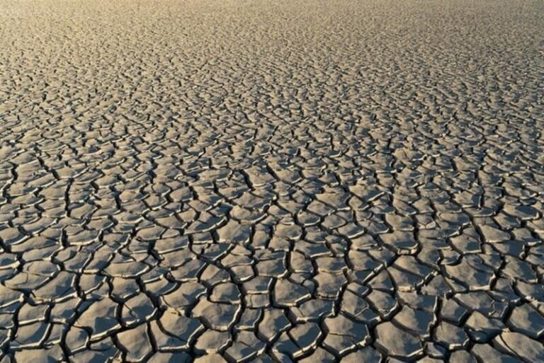 España tiene el 75% de su territorio en riesgo de desertificación