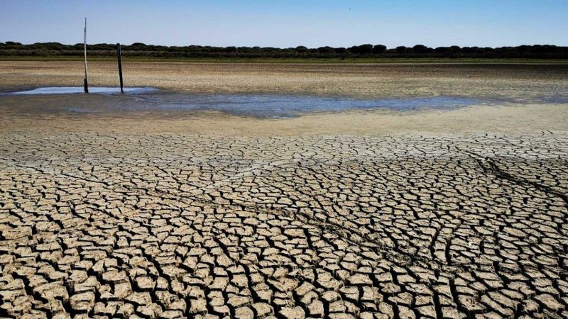 La laguna principal de Doñana se ha secado