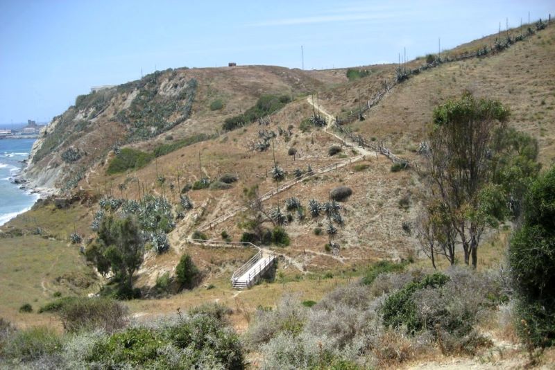 Senderismo ecológico por la ruta de los dinosaurios en Cádiz