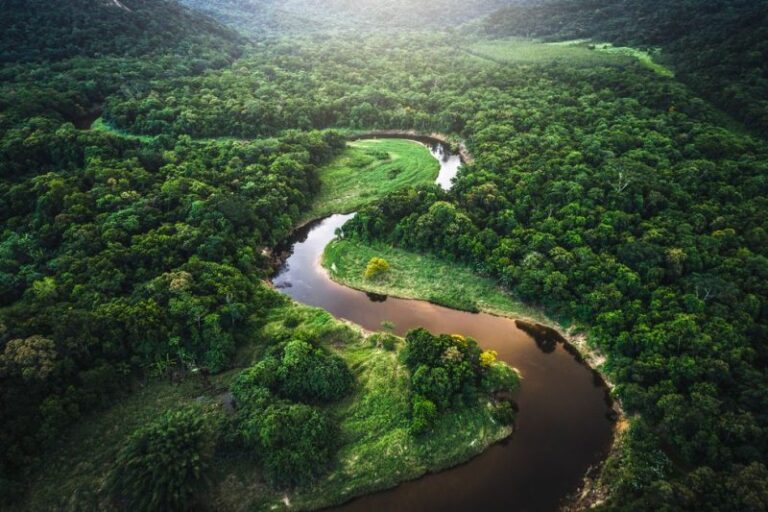 Un gigantesco laboratorio de la biodiversidad