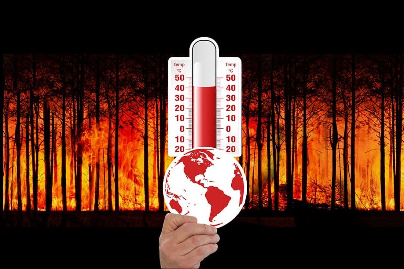 climate change thermometer forest fire forest e1692015184272