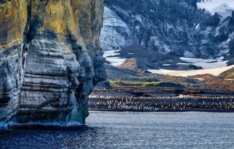hongos y algas en simbiosis