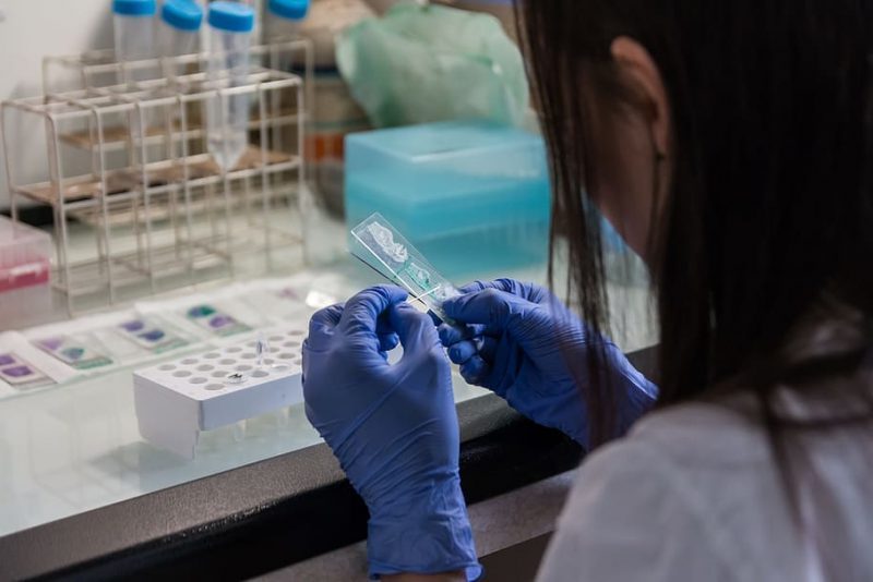 Plásticos degradables fabricados con ¿moscas?