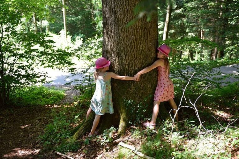 Amor a la naturaleza: ¿genética o educación?