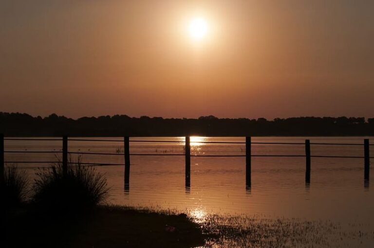 Doñana no puede esperar un minuto más: se MUERE
