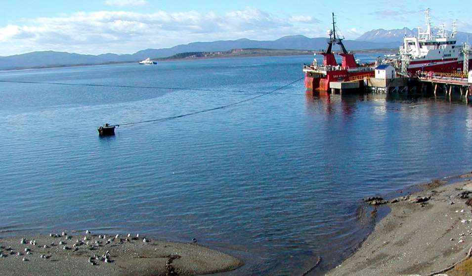 Microorganismos para producir ceras y aceites