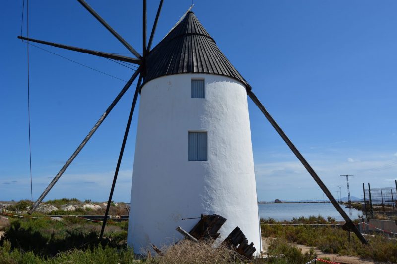 ANSE con la restauración de las salinas de Marchamalo