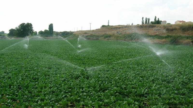 Agricultura: Agrodit, un sensor para reducir el consumo de agua